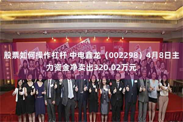 股票如何操作杠杆 中电鑫龙（002298）4月8日主力资金净卖出320.02万元