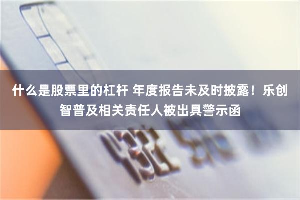 什么是股票里的杠杆 年度报告未及时披露！乐创智普及相关责任人被出具警示函