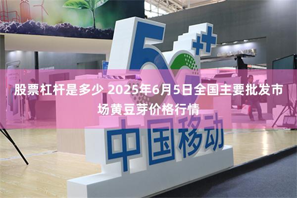股票杠杆是多少 2025年6月5日全国主要批发市场黄豆芽价格行情