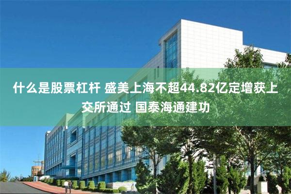 什么是股票杠杆 盛美上海不超44.82亿定增获上交所通过 国泰海通建功
