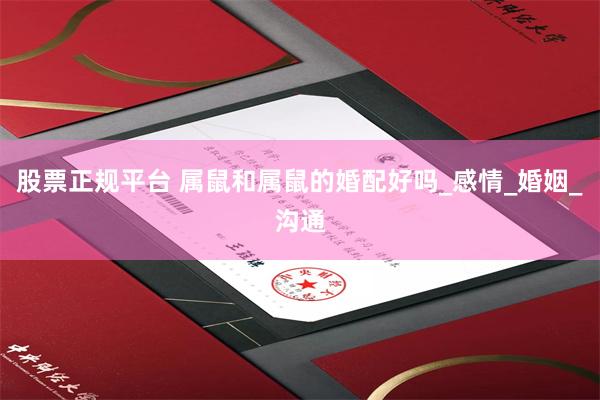 股票正规平台 属鼠和属鼠的婚配好吗_感情_婚姻_沟通
