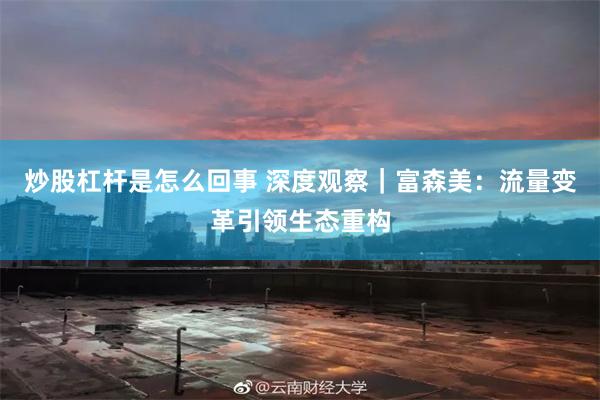 炒股杠杆是怎么回事 深度观察｜富森美：流量变革引领生态重构