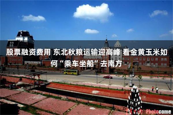 股票融资费用 东北秋粮运输迎高峰 看金黄玉米如何“乘车坐船”去南方