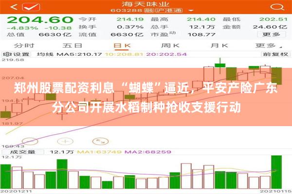 郑州股票配资利息 “蝴蝶”逼近，平安产险广东分公司开展水稻制种抢收支援行动