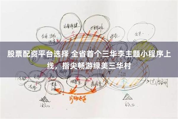 股票配资平台选择 全省首个三华李主题小程序上线，指尖畅游绿美三华村