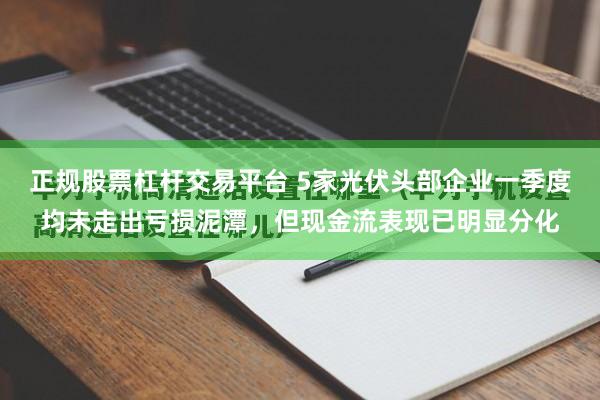 正规股票杠杆交易平台 5家光伏头部企业一季度均未走出亏损泥潭，但现金流表现已明显分化