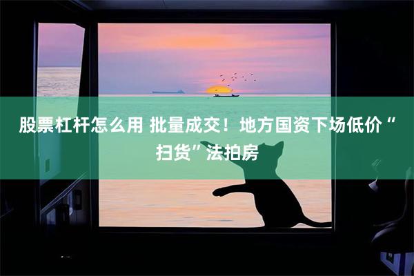 股票杠杆怎么用 批量成交！地方国资下场低价“扫货”法拍房