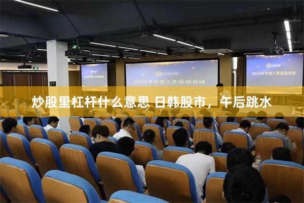 炒股里杠杆什么意思 日韩股市，午后跳水