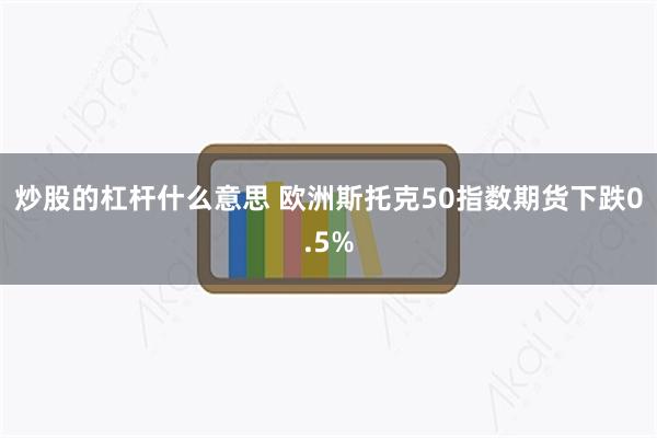 炒股的杠杆什么意思 欧洲斯托克50指数期货下跌0.5%