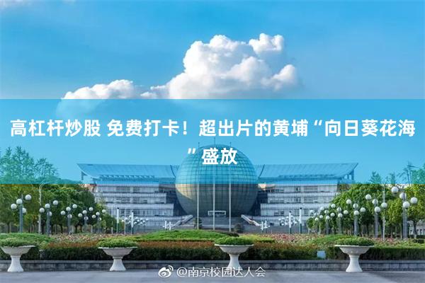 高杠杆炒股 免费打卡！超出片的黄埔“向日葵花海”盛放