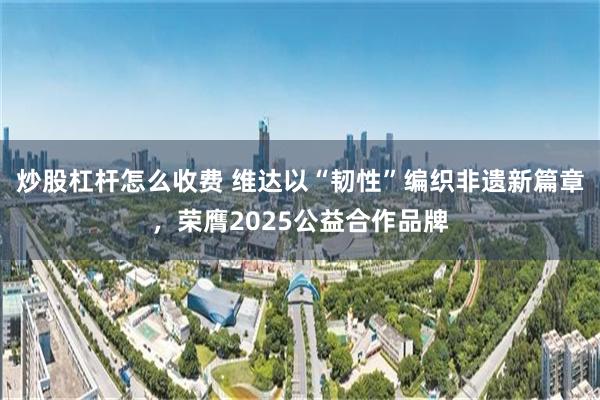 炒股杠杆怎么收费 维达以“韧性”编织非遗新篇章，荣膺2025公益合作品牌