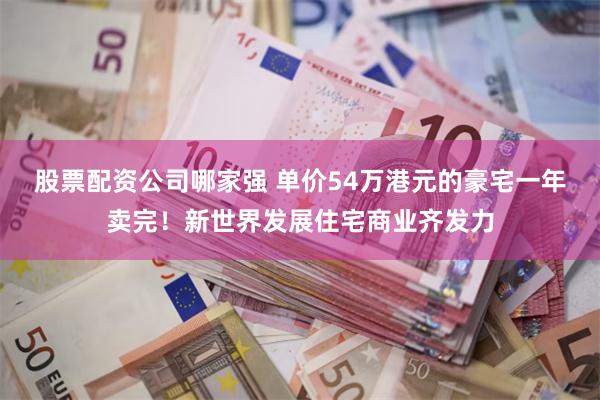 股票配资公司哪家强 单价54万港元的豪宅一年卖完！新世界发展住宅商业齐发力