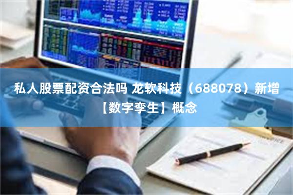 私人股票配资合法吗 龙软科技（688078）新增【数字孪生】概念