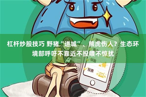 杠杆炒股技巧 野猪“进城”、熊虎伤人？生态环境部呼吁不靠近不投喂不惊扰