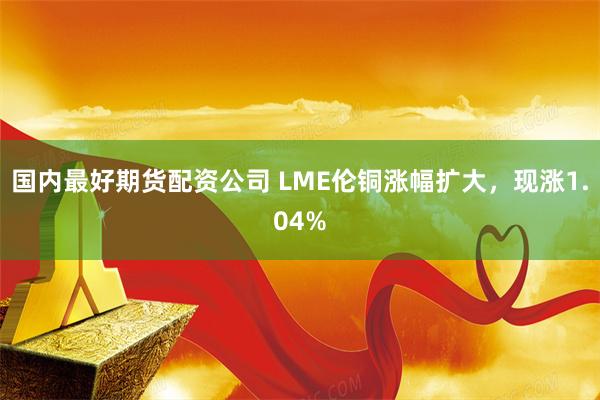 国内最好期货配资公司 LME伦铜涨幅扩大，现涨1.04%