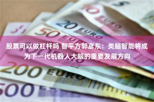 股票可以做杠杆吗 智平方郭彦东：类脑智能将成为下一代机器人大脑的重要发展方向