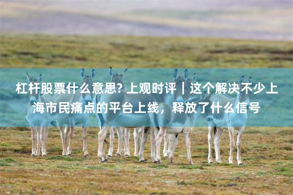 杠杆股票什么意思? 上观时评｜这个解决不少上海市民痛点的平台上线，释放了什么信号