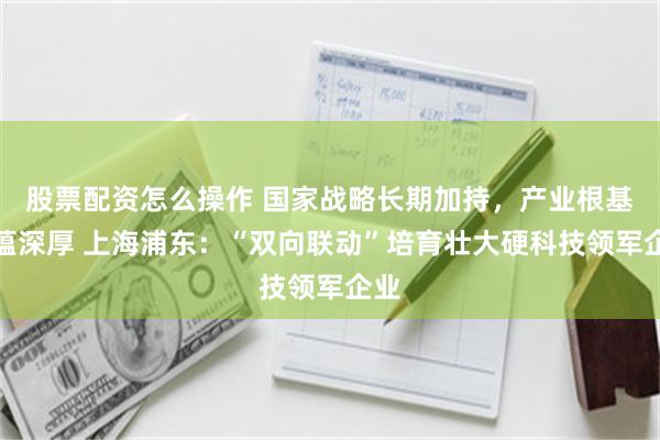 股票配资怎么操作 国家战略长期加持,产业根基底蕴深厚 上海浦东:“双向联动”培育壮大硬科技领军企业