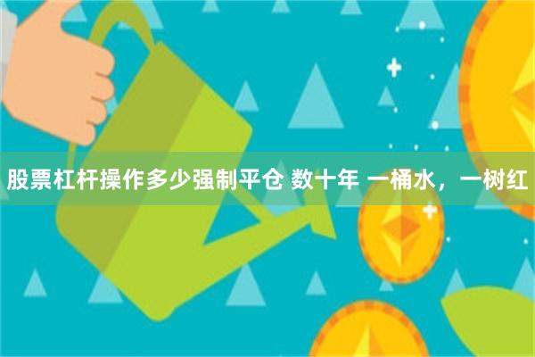 股票杠杆操作多少强制平仓 数十年 一桶水，一树红