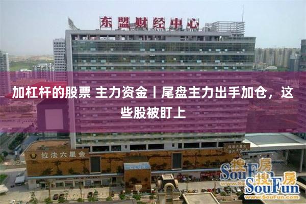 加杠杆的股票 主力资金丨尾盘主力出手加仓,这些股被盯上
