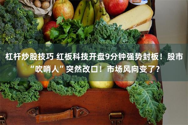 杠杆炒股技巧 红板科技开盘9分钟强势封板！股市“吹哨人”突然改口！市场风向变了？
