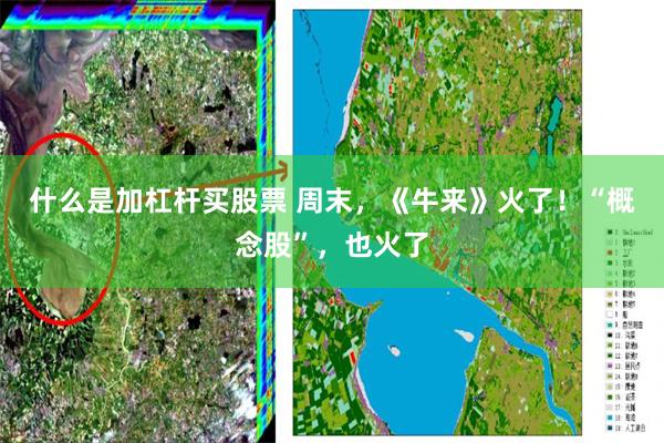 什么是加杠杆买股票 周末，《牛来》火了！“概念股”，也火了