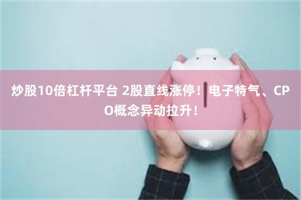 炒股10倍杠杆平台 2股直线涨停！电子特气、CPO概念异动拉升！
