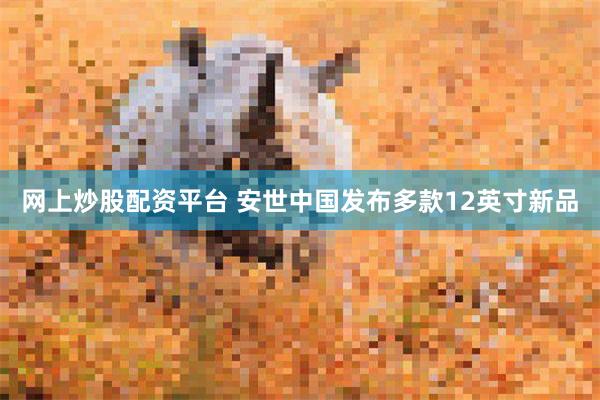 网上炒股配资平台 安世中国发布多款12英寸新品