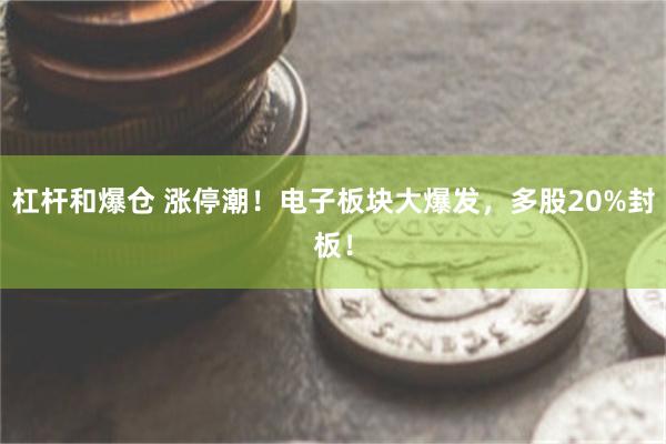杠杆和爆仓 涨停潮！电子板块大爆发，多股20%封板！