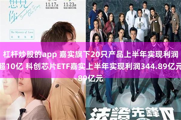 杠杆炒股的app 嘉实旗下20只产品上半年实现利润超10亿 科创芯片ETF嘉实上半年实现利润344.89亿元