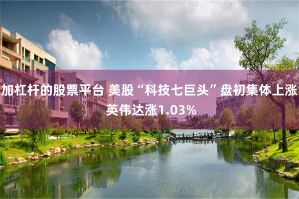 加杠杆的股票平台 美股“科技七巨头”盘初集体上涨 英伟达涨1.03%