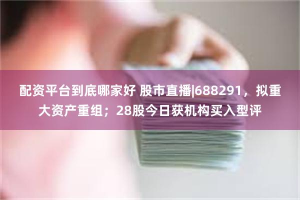 配资平台到底哪家好 股市直播|688291，拟重大资产重组；28股今日获机构买入型评
