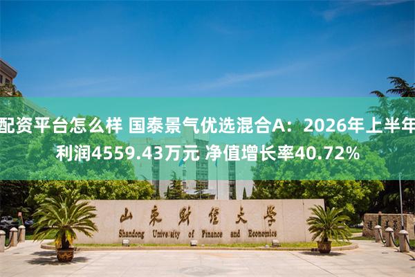 配资平台怎么样 国泰景气优选混合A：2026年上半年利润4559.43万元 净值增长率40.72%