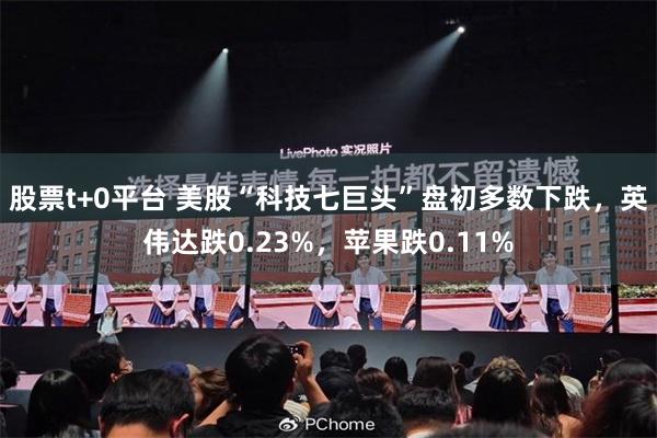 股票t+0平台 美股“科技七巨头”盘初多数下跌，英伟达跌0.23%，苹果跌0.11%