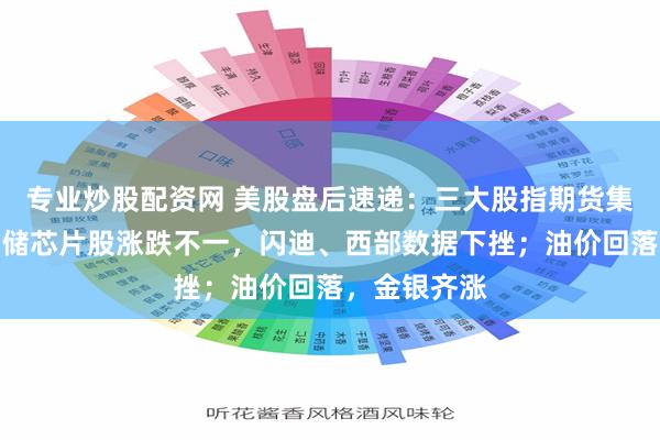 专业炒股配资网 美股盘后速递：三大股指期货集体上涨；存储芯片股涨跌不一，闪迪、西部数据下挫；油价回落，金银齐涨