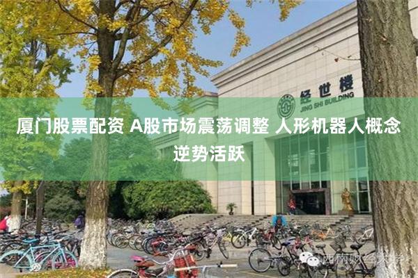 厦门股票配资 A股市场震荡调整 人形机器人概念逆势活跃