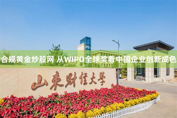 合规黄金炒股网 从WIPO全球奖看中国企业创新成色