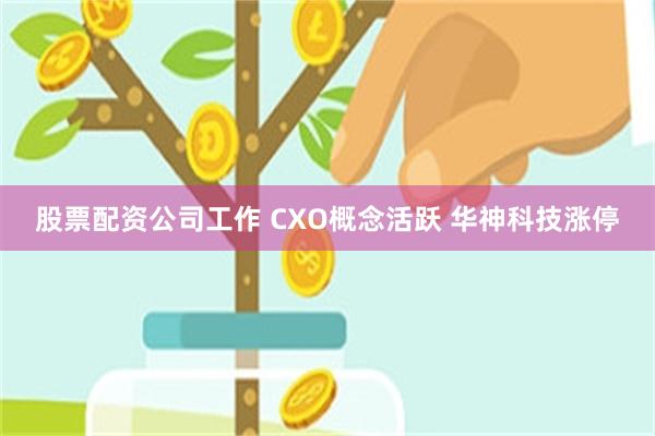 股票配资公司工作 CXO概念活跃 华神科技涨停