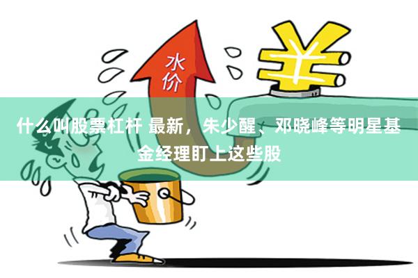 什么叫股票杠杆 最新，朱少醒、邓晓峰等明星基金经理盯上这些股