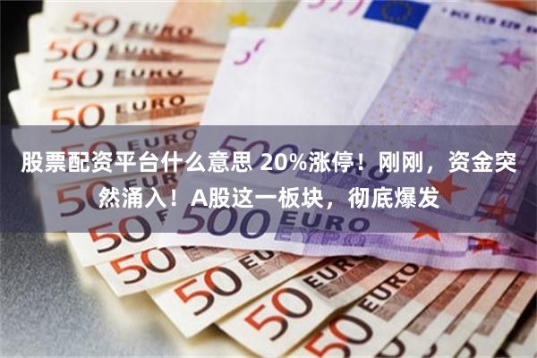 股票配资平台什么意思 20%涨停！刚刚，资金突然涌入！A股这一板块，彻底爆发