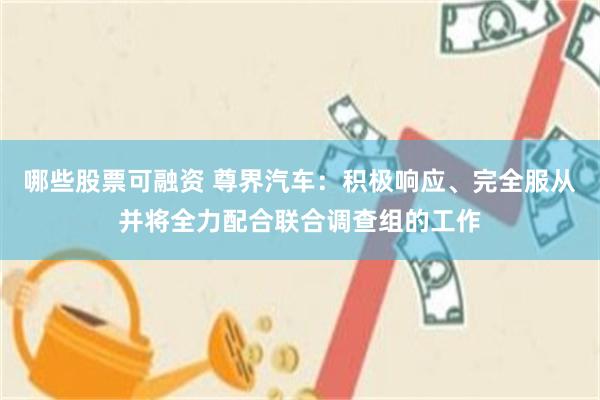 哪些股票可融资 尊界汽车：积极响应、完全服从并将全力配合联合调查组的工作
