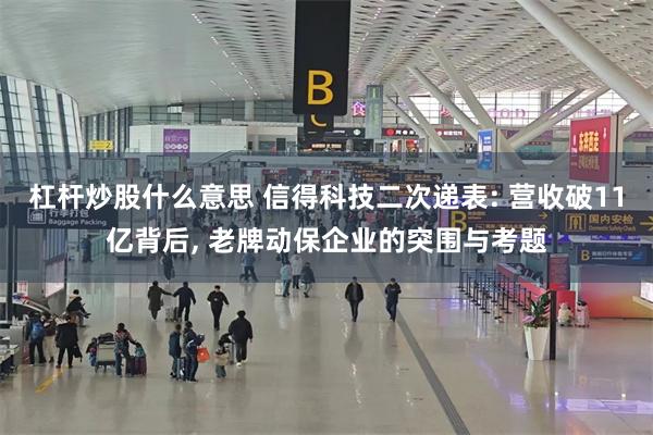 杠杆炒股什么意思 信得科技二次递表: 营收破11亿背后, 老牌动保企业的突围与考题