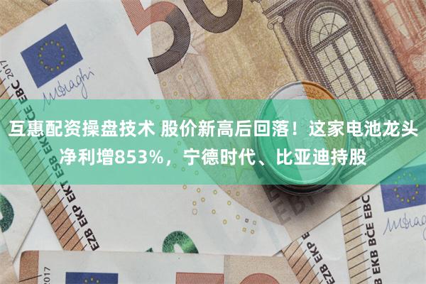 互惠配资操盘技术 股价新高后回落！这家电池龙头净利增853%，宁德时代、比亚迪持股