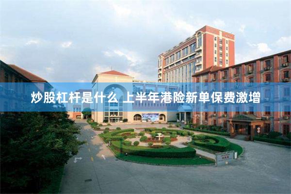 炒股杠杆是什么 上半年港险新单保费激增